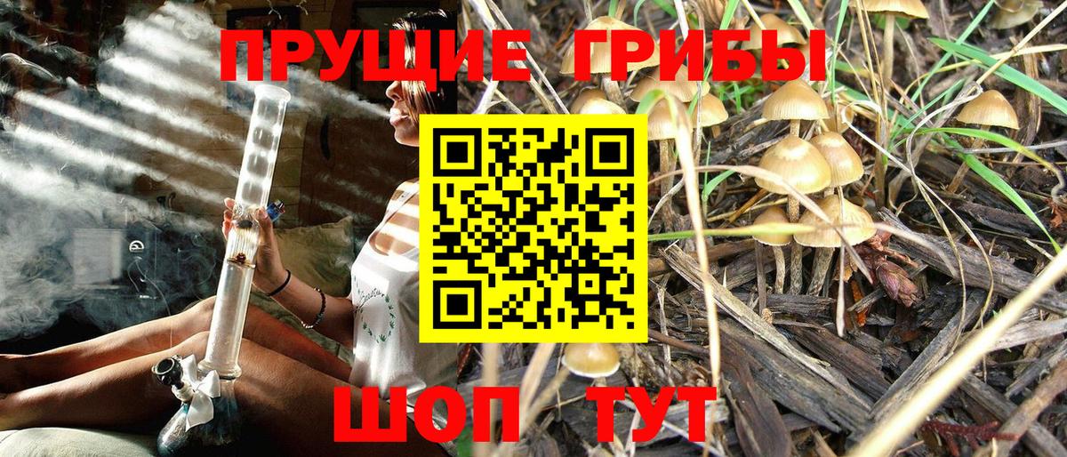 Псилоцибиновые грибы GOLDEN TEACHER Джанкой